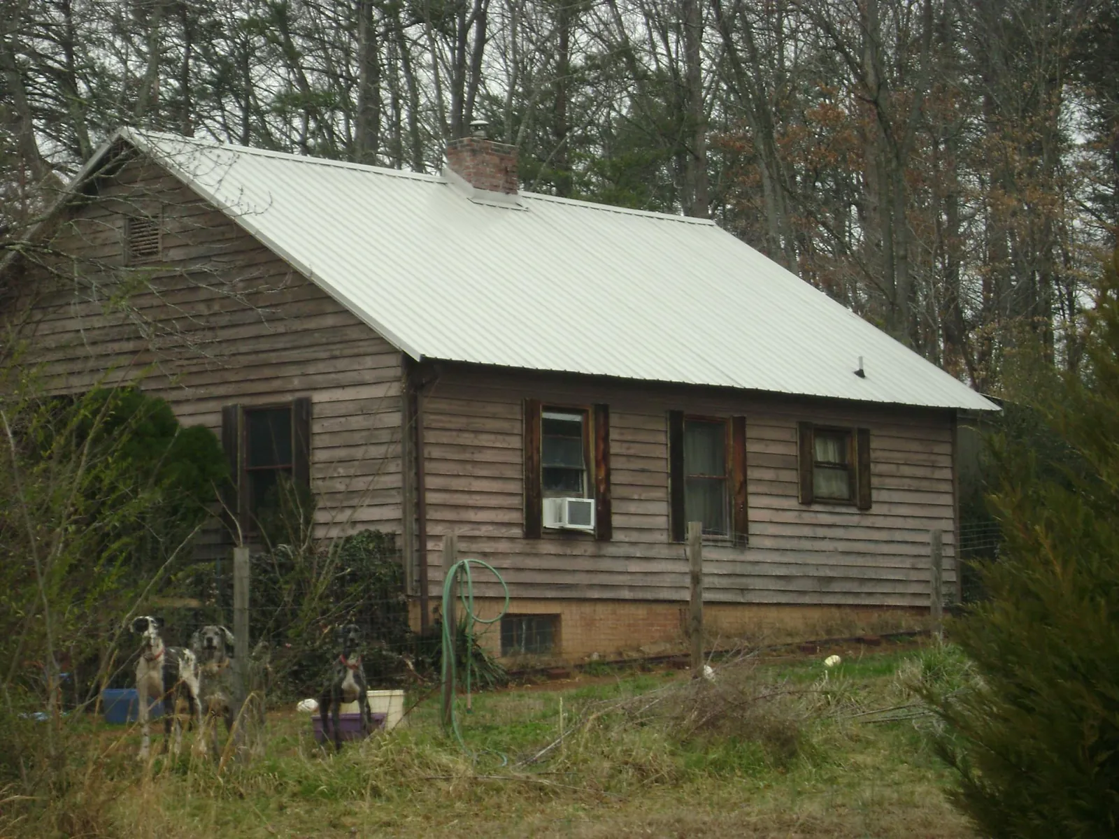 White metal roof on an old wood sided farmhouse in Jakin